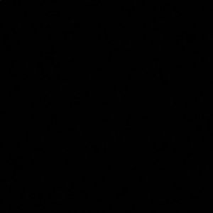 Meet your Posher, Chanelle